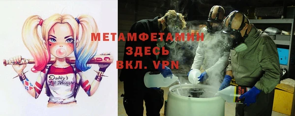 ГАЛЛЮЦИНОГЕННЫЕ ГРИБЫ Верея