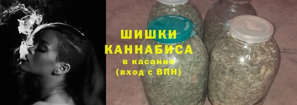 ГАЛЛЮЦИНОГЕННЫЕ ГРИБЫ Верея