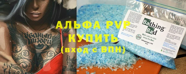 ГАЛЛЮЦИНОГЕННЫЕ ГРИБЫ Верея