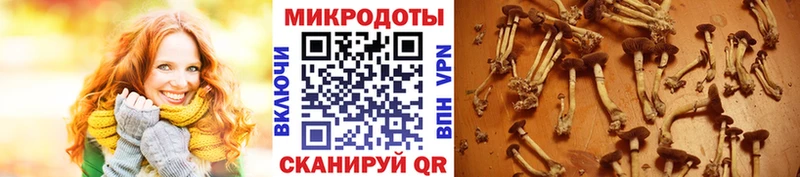 Галлюциногенные грибы Magic Shrooms  Коломна 